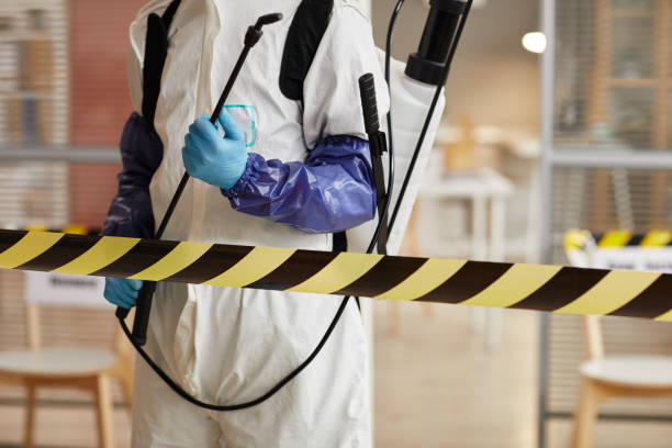 Professional Sewage Cleanup technician working in Fruitland, MD